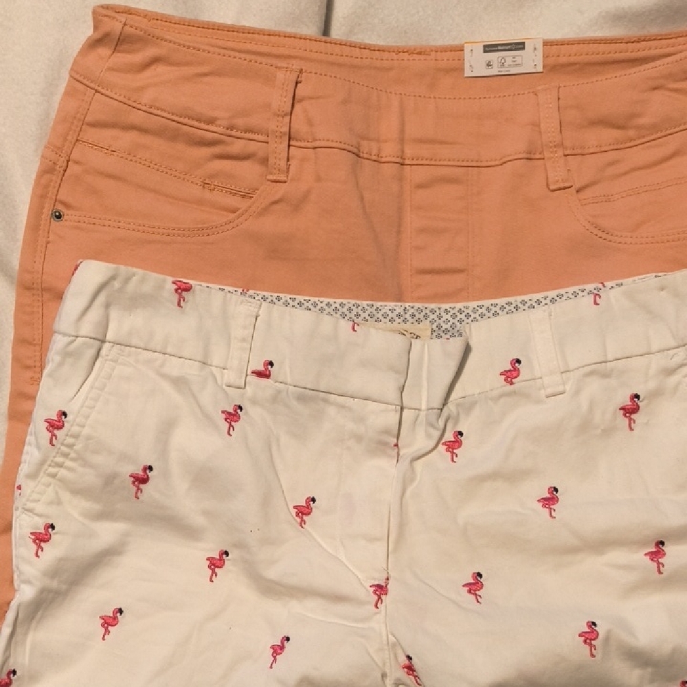 Women's Flamingo Print and Peach Shorts Set